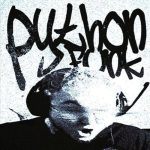 دانلود آهنگ PYTHON FUNK از Sayfalse