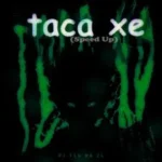 دانلود آهنگ Taca Xe از DJ TLS DA ZL