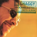دانلود آهنگ Boombastic از Shaggy