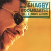 دانلود آهنگ Boombastic از Shaggy