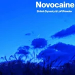 دانلود آهنگ Novocaine از Shiloh Dynasty