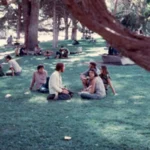 دانلود آهنگ Kathleen از Townes Van Zandt