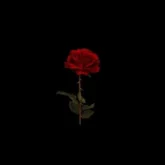 دانلود آهنگ Roses از Juice WRLD