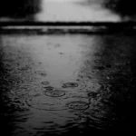 دانلود آهنگ Slow motions از shamrain