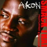 دانلود آهنگ Smack That از Akon