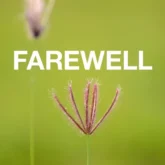 دانلود آهنگ Farewell از Hangover In Minsk
