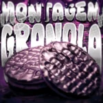دانلود آهنگ MONTAGEM GRANOLA از DJ Fallthox