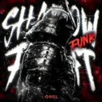 دانلود آهنگ SHADOW FIGHT FUNK از SHX4