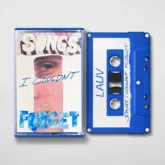 دانلود آلبوم songs i couldn't forget از Lauv